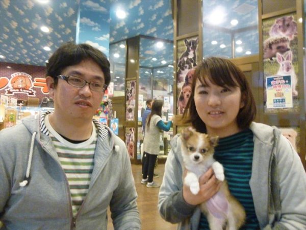 写真