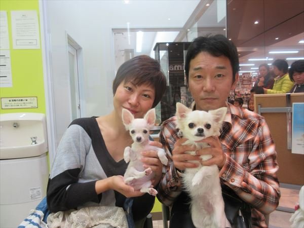 写真