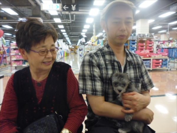写真