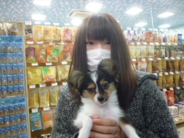 写真