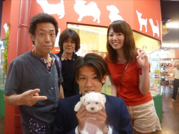 写真