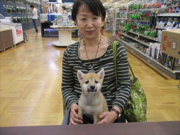 写真