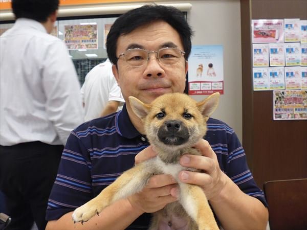 写真