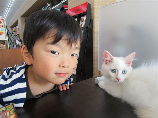 写真