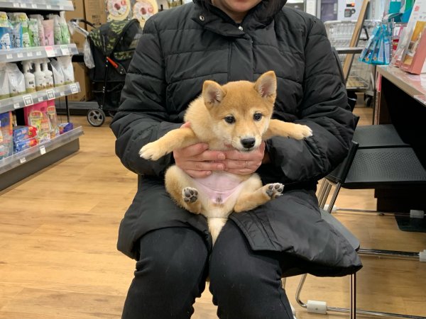 写真