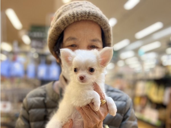 写真
