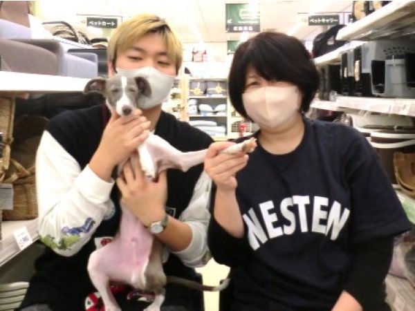 写真
