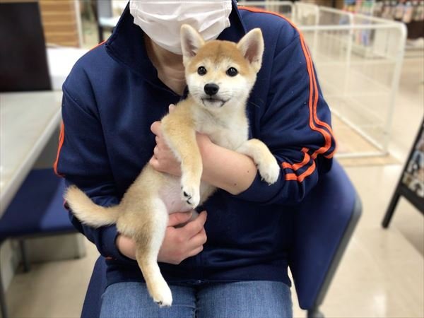 写真