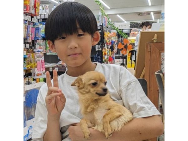写真