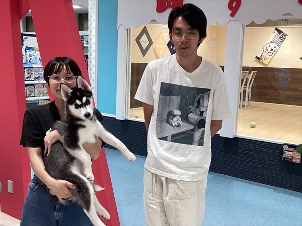 写真