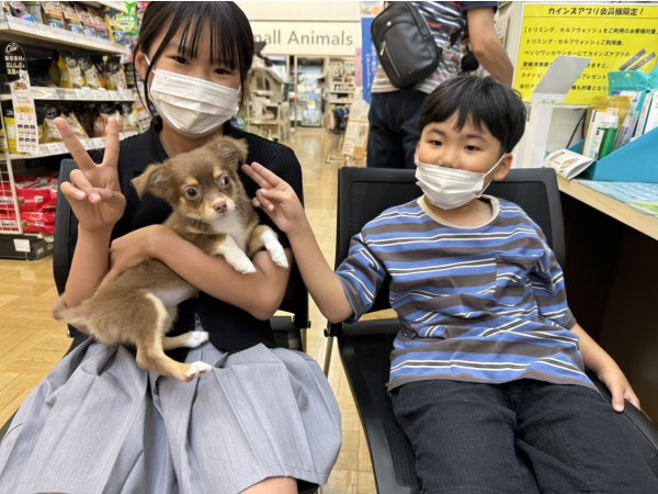 写真