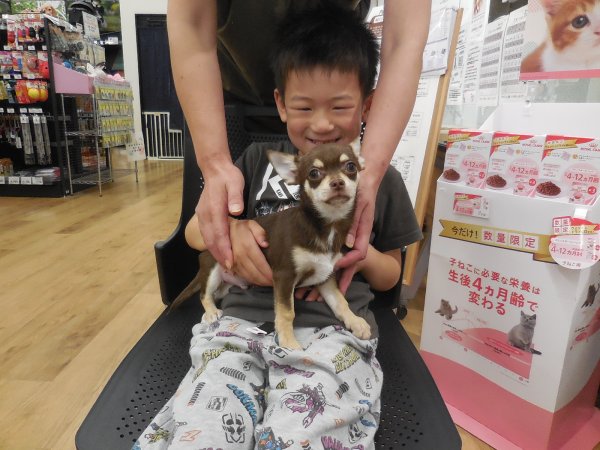 写真