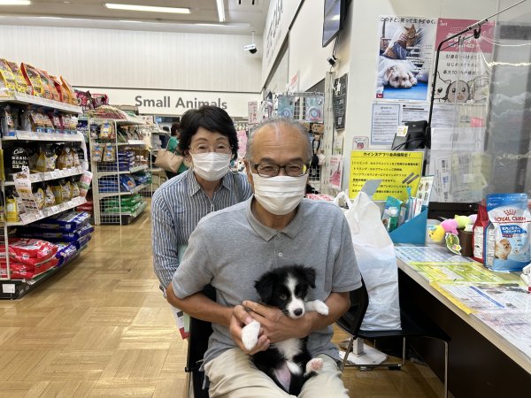 写真