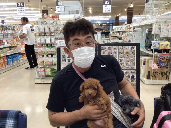 写真