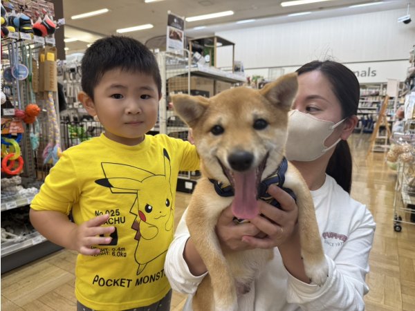 写真