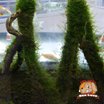 ウィローモス流木L