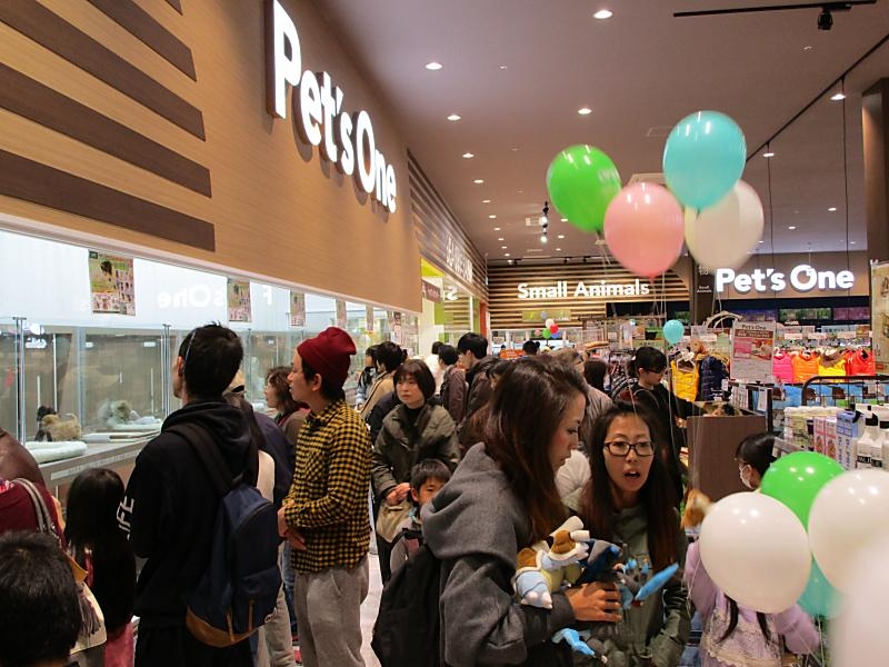 カインズ船橋習志野店 ペットショップ ワンラブ