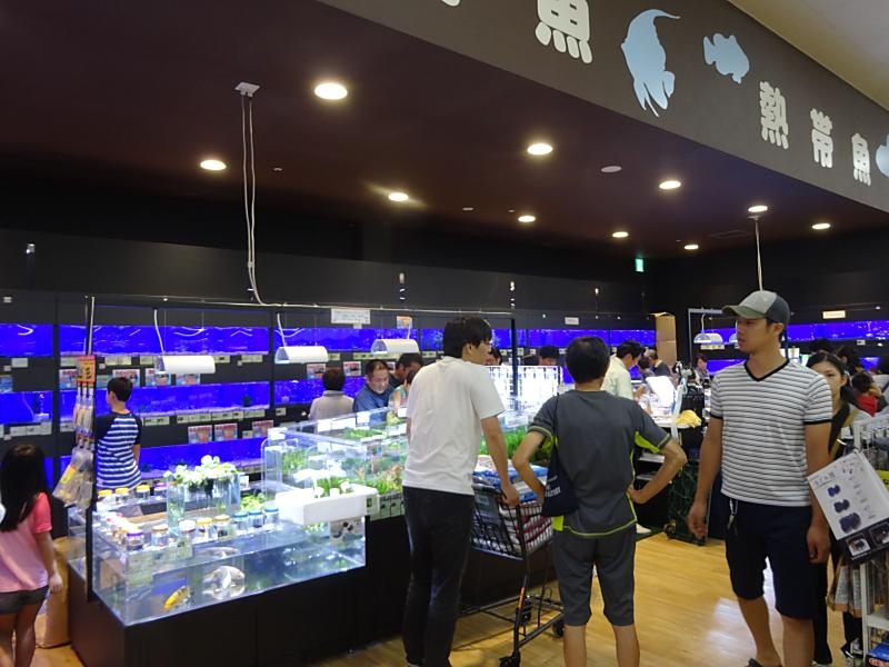 ホームセンターバロー松阪店 ペットショップ ワンラブ