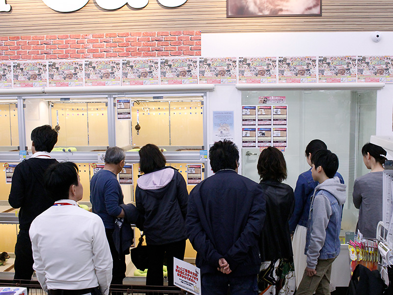 ユニディ千鳥町店 ペットショップ ワンラブ