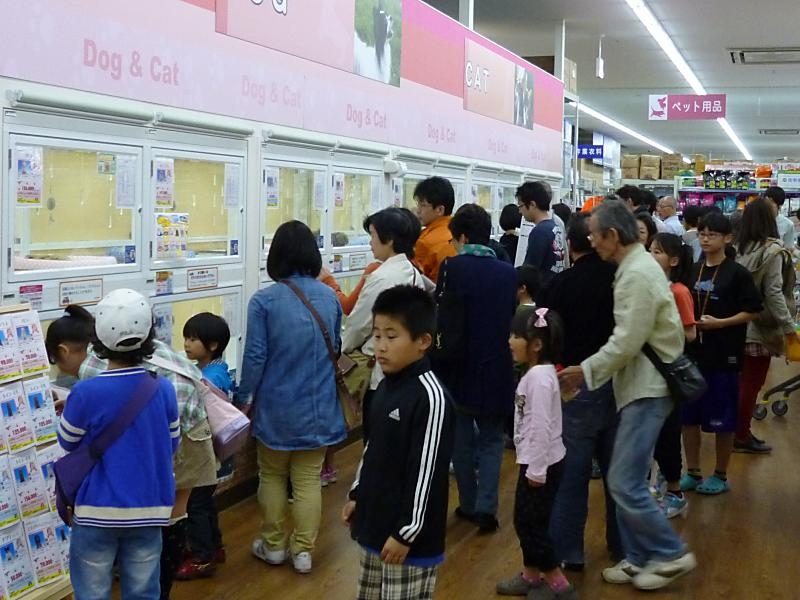 ペットプラザ名古屋北店 ペットショップ ワンラブ