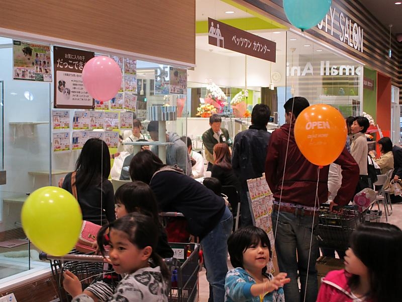 カインズ船橋習志野店 ペットショップ ワンラブ