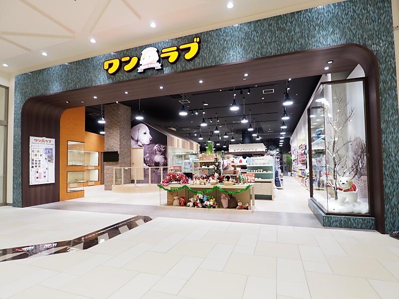 モレラ岐阜店 ペットショップ ワンラブ