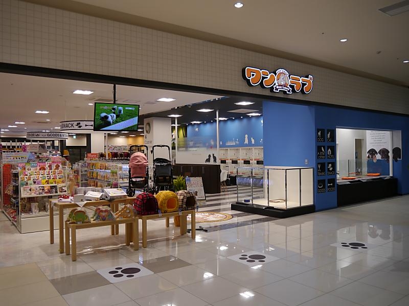 イオンタウン成田富里店 ペットショップ ワンラブ