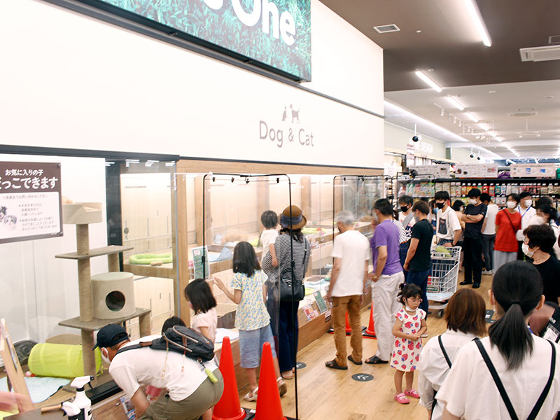 カインズ会津若松店 福島県 店舗紹介 ペットショップワンラブ