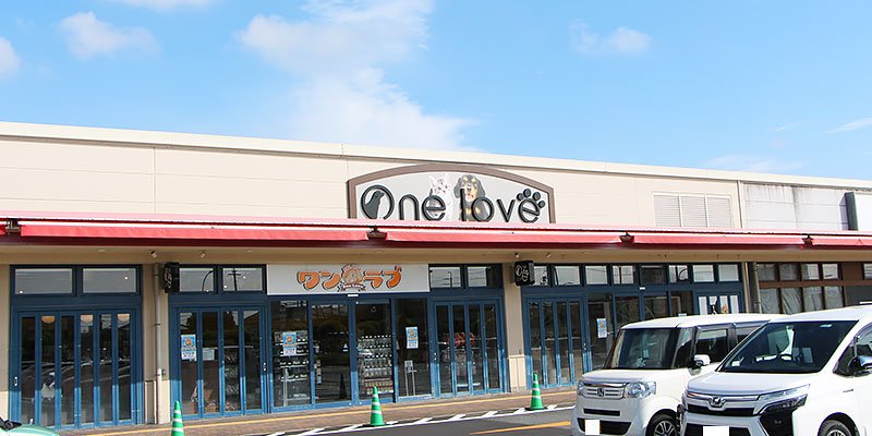 イズミヤ八尾店