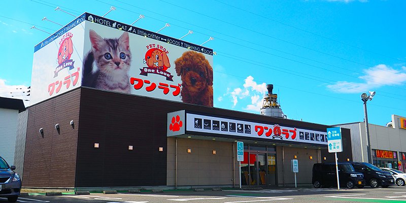 ワンラブフレスポ赤道店の写真