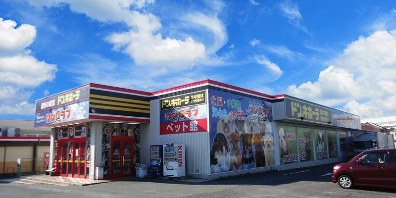 ドン・キホーテ緑店