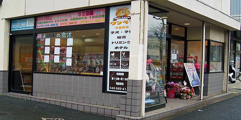 小金井店