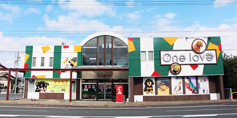 ワンラブ浜松本店の写真