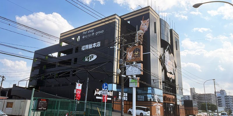 ワンラブ福岡総本店の店舗写真