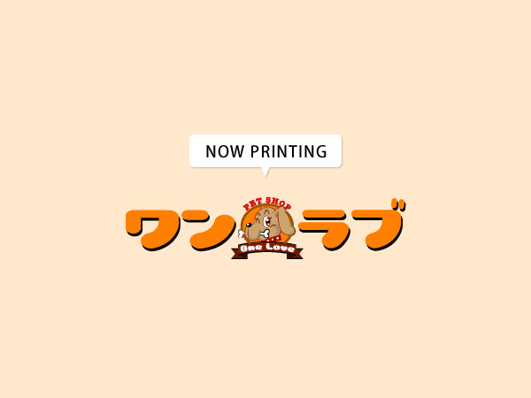 サウルス アンダー ウッディ