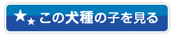 この犬種の子を見る