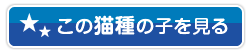 この猫種の子を見る