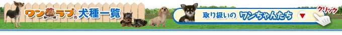 ワンラブ 犬種一覧
