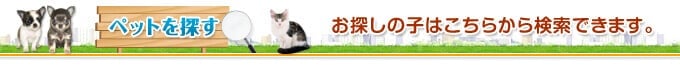 ペットを探す お探しの子はこちらから検索できます。